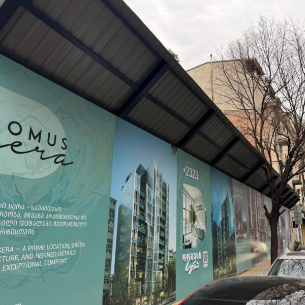 დომუს ფალიაშვილი